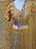 Gorgeous Bridal Wedding Lehenga Size L/XL (44 To 46)